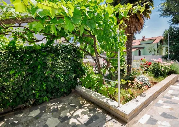 Jutta Mit Terrasse By Interhome Novigrad Istria